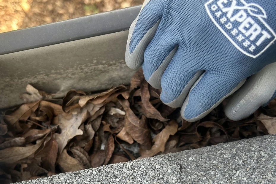 West Chester Gutter Cleaning